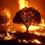 DigitalPath’s Ethan Higgins On Using AI to Fight Wildfires – Ep. 211