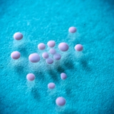 Don’t Call it a Brain in a Dish!